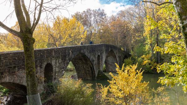 Puente de la Magdalena